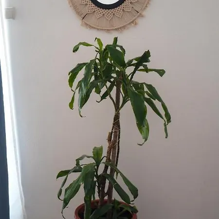 Sea Lover Apartment *